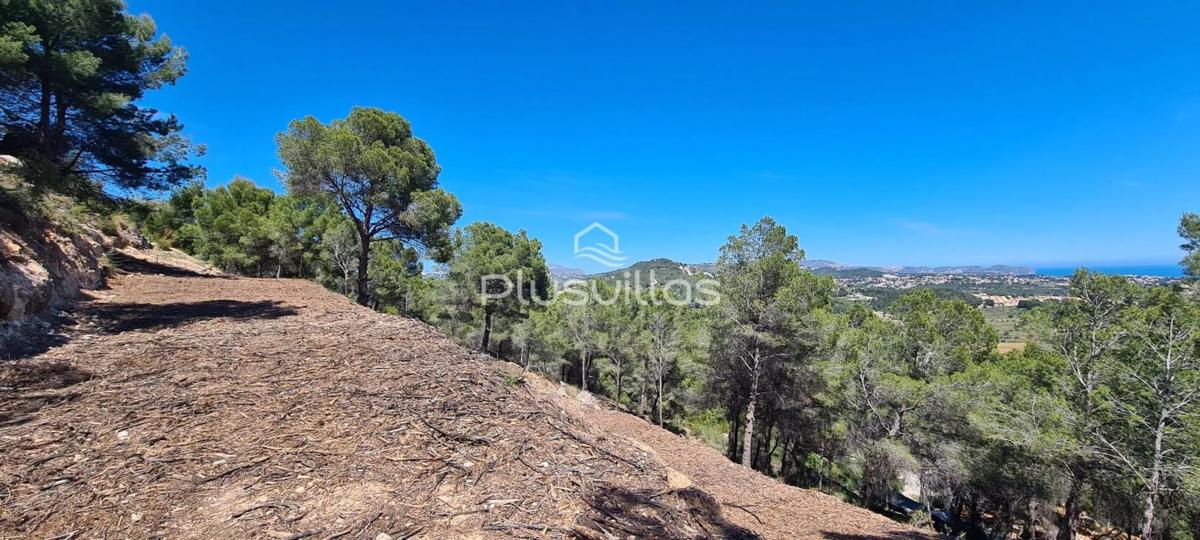 Terreno en venta en Calpe, Alicante photo 5