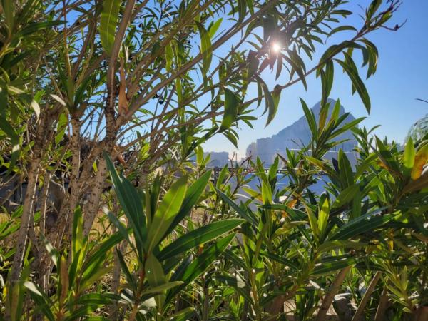 Terreno en Calpe Pueblo photo 4