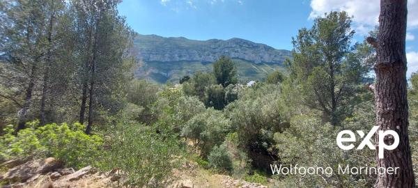 Terreno en camino Corral de Calafat, 50 photo 1
