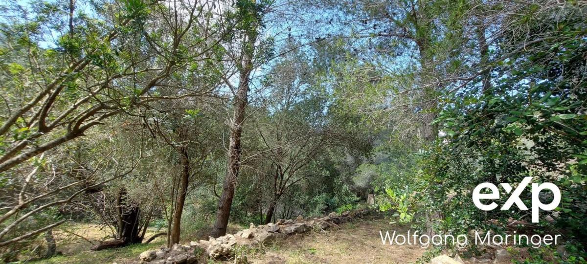 Terreno en venta en Denia, Alicante photo 3