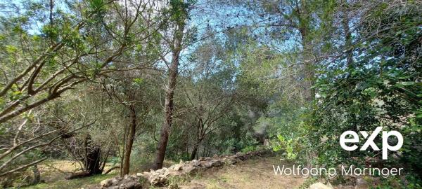 Terreno en camino Corral de Calafat, 50 photo 3