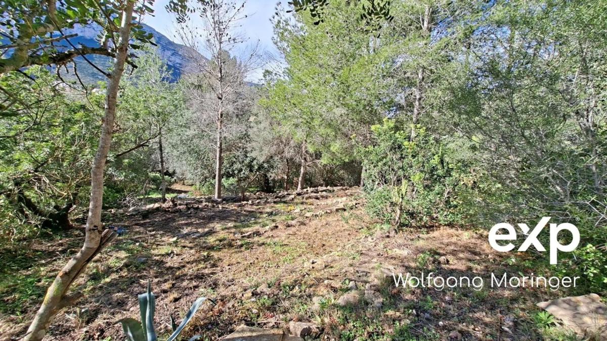 Terreno en venta en Denia, Alicante photo 4