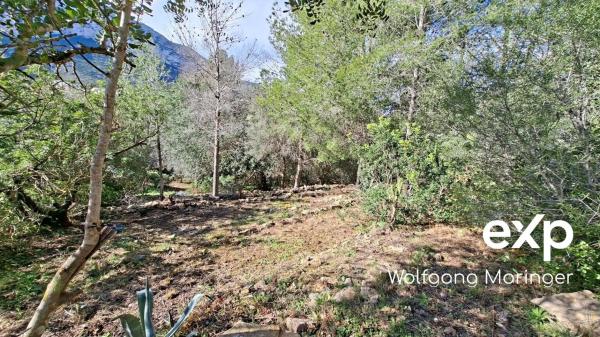 Terreno en camino Corral de Calafat, 50 photo 4