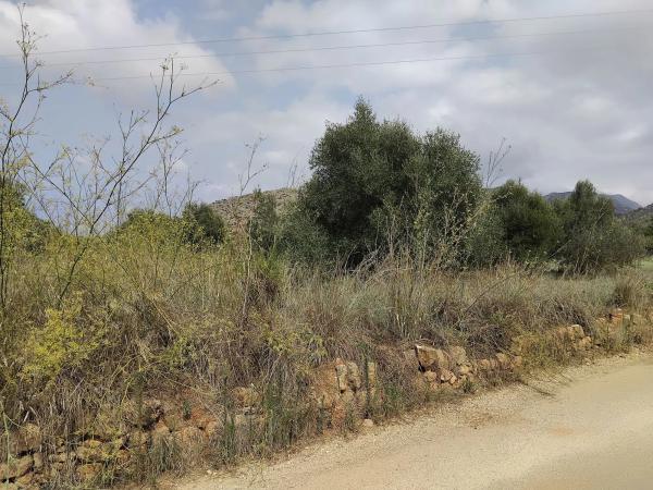 Terreno en camino de L'Advocat photo 1