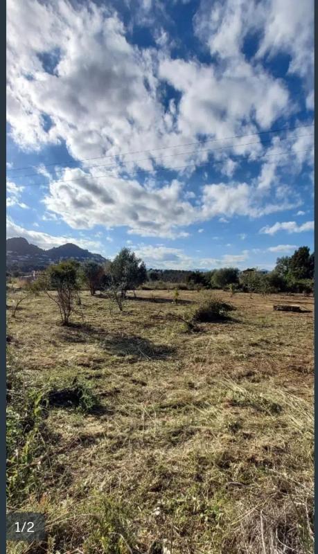 Land for sale in Denia, Alicante photo 1