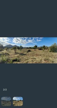 Terreno en camino de L'Advocat, 3 photo 4