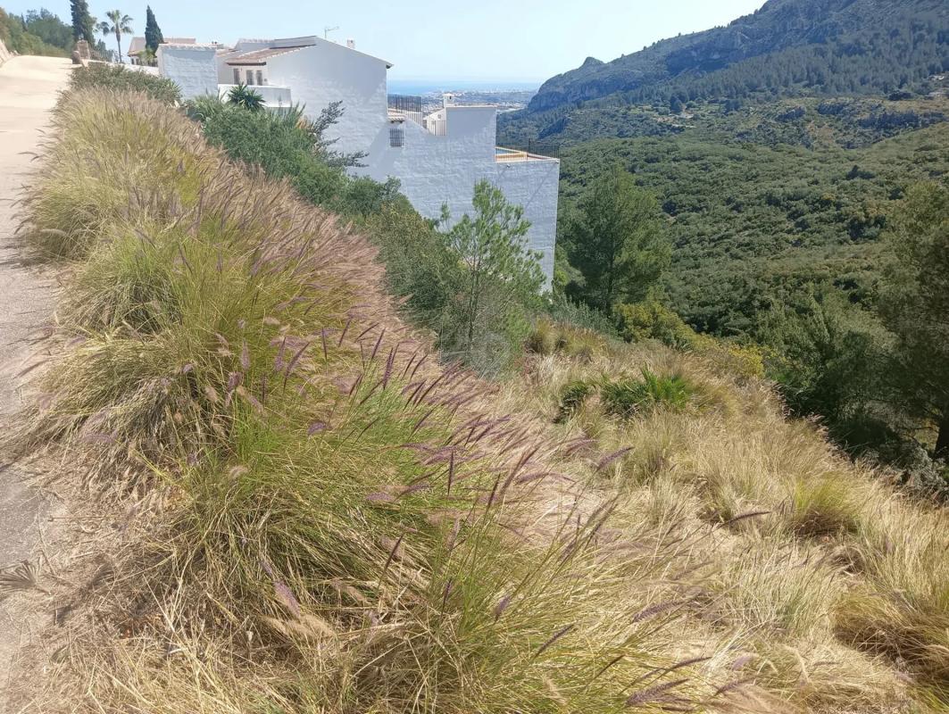 Land for sale in Denia, Alicante photo 4