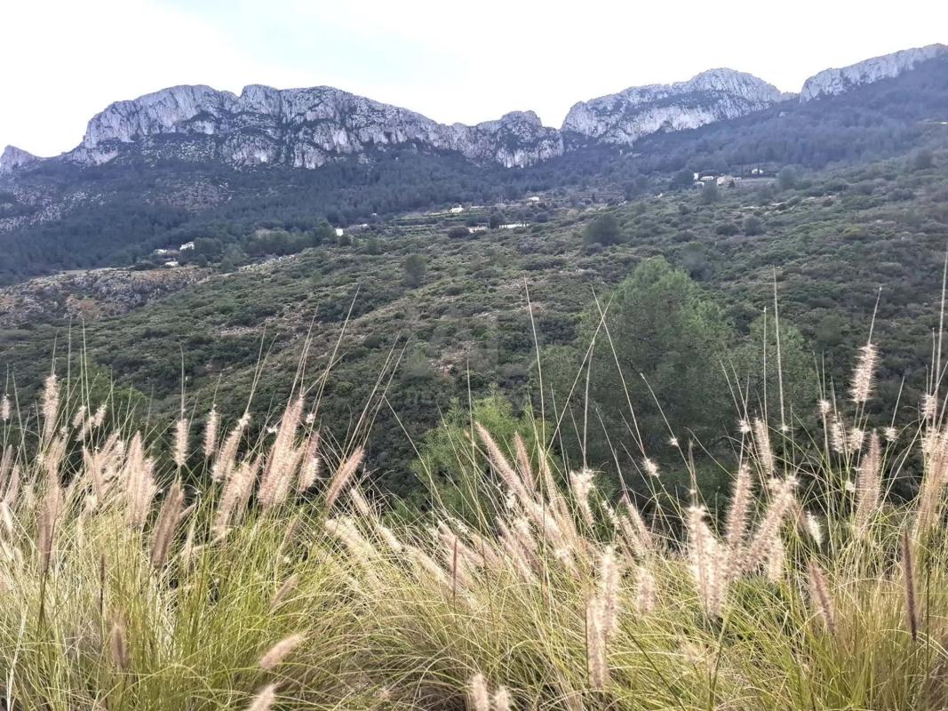 Land for sale in Denia, Alicante photo 5