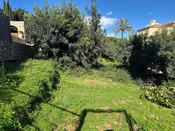 Terreno en La Pedrera-Vessanes photo 4
