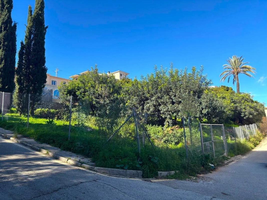 Terreno en venta en Denia, Alicante photo 3