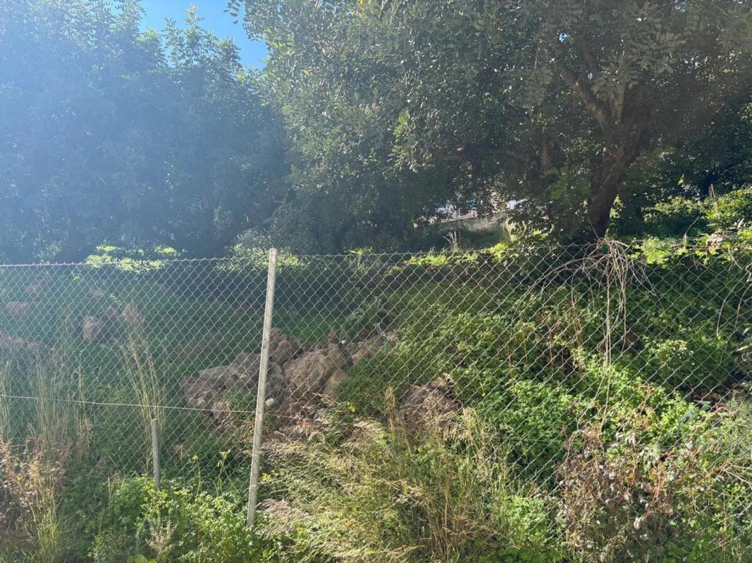 Terreno en venta en Denia, Alicante photo 5