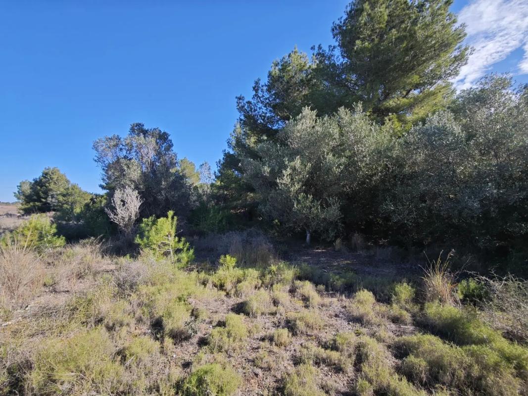 Terreno en venta en Jávea/Xàbia, Alicante photo 3