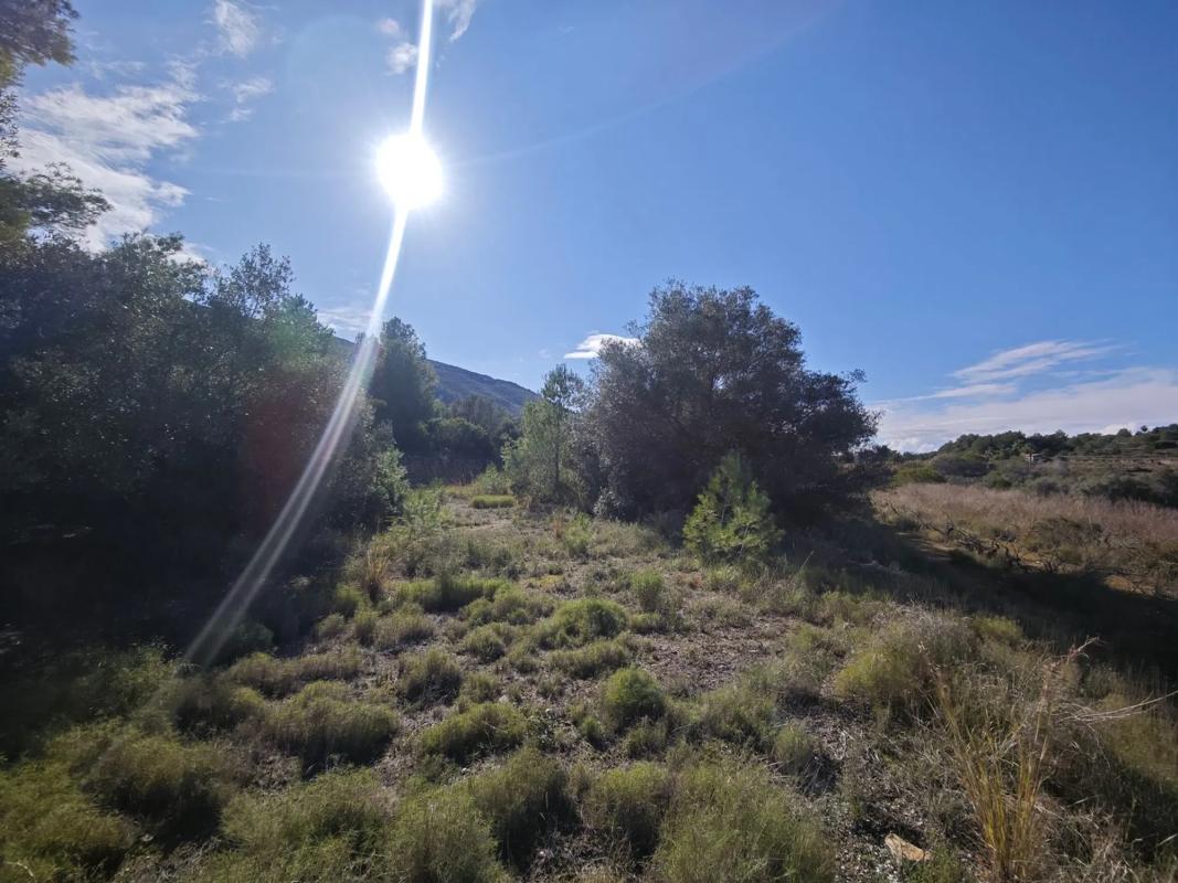 Terreno en venta en Jávea/Xàbia, Alicante photo 4