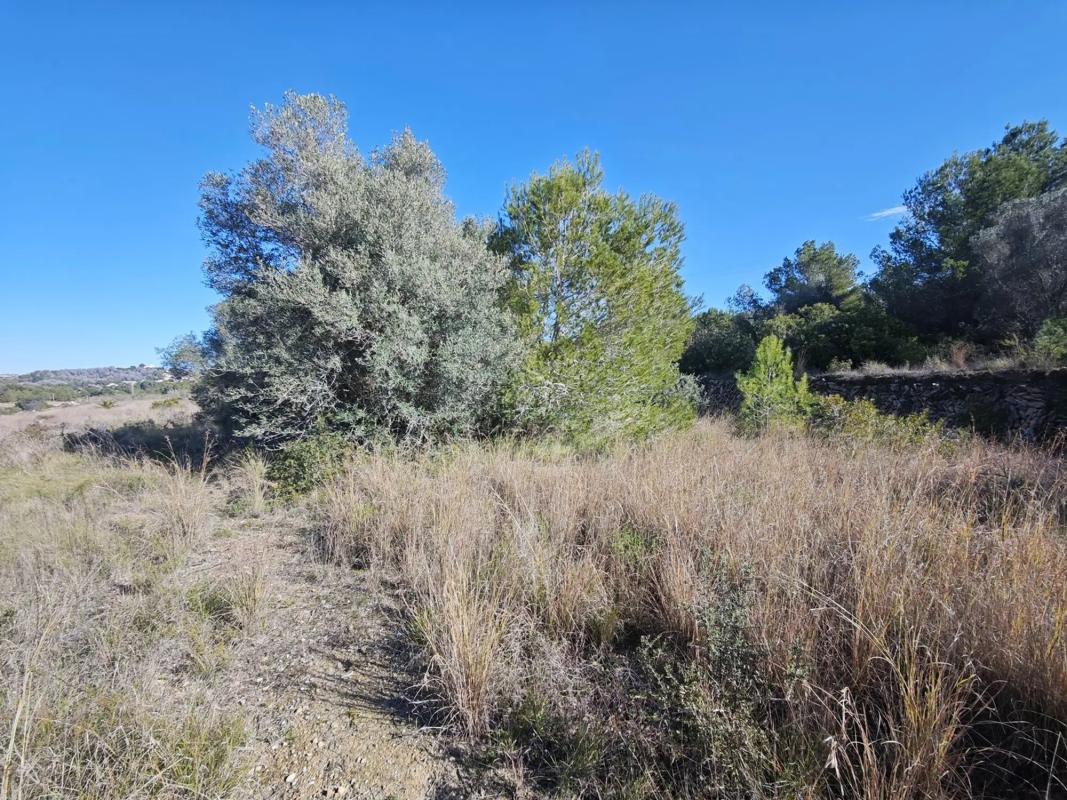 Terreno en venta en Jávea/Xàbia, Alicante photo 5