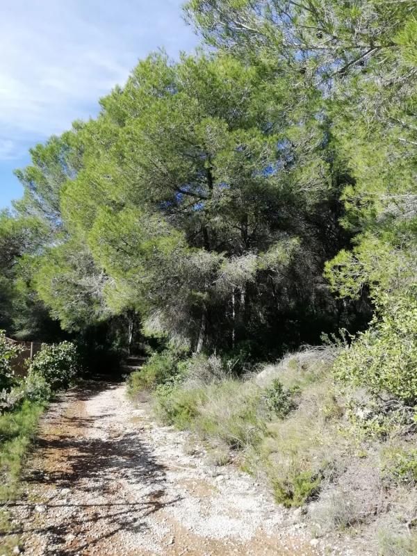 Terreno en venta en Jávea/Xàbia, Alicante photo 1