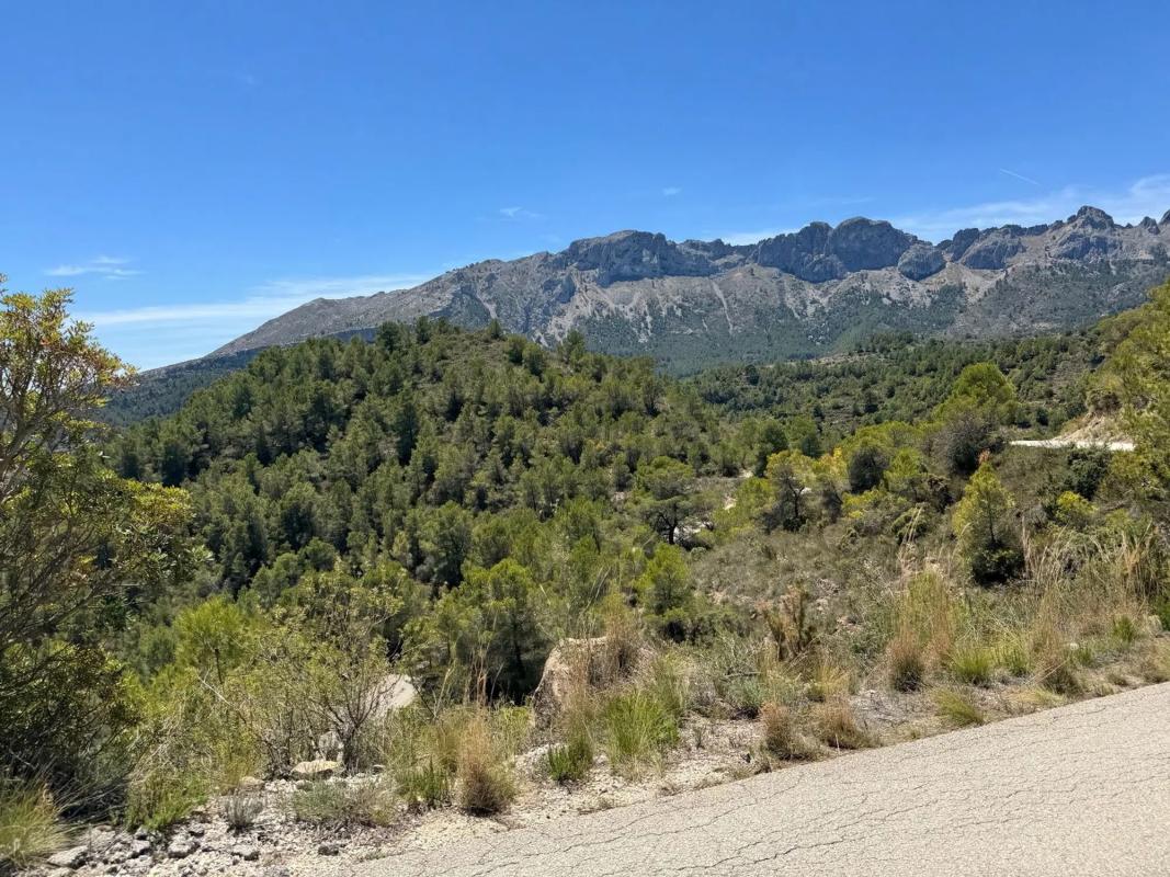 Land for sale in Llíber, Alicante photo 2