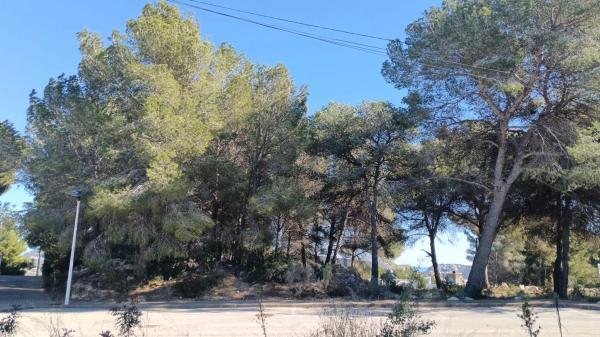 Terreno en calle Benisol, 13 photo 1