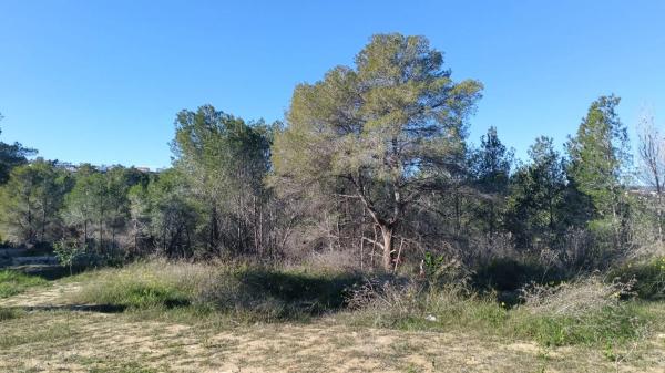 Terreno en calle Benisol, 11 thumbnail 1