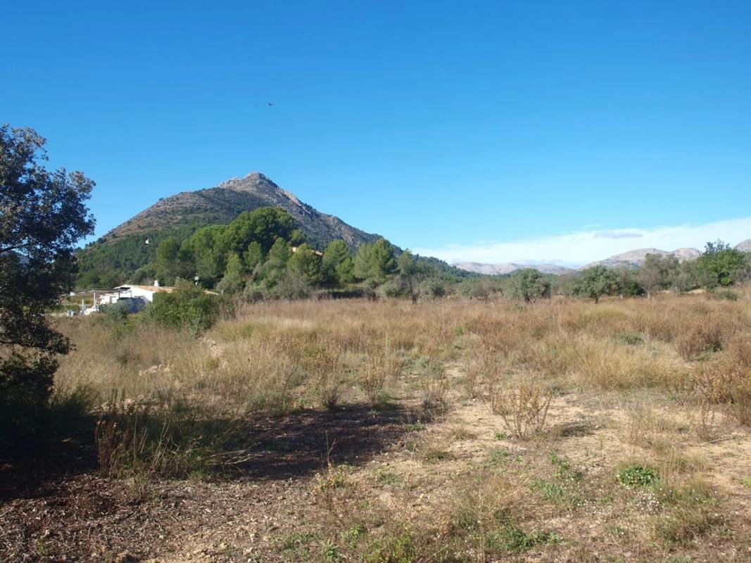 Terreno en venta en Murla, Alicante photo 3