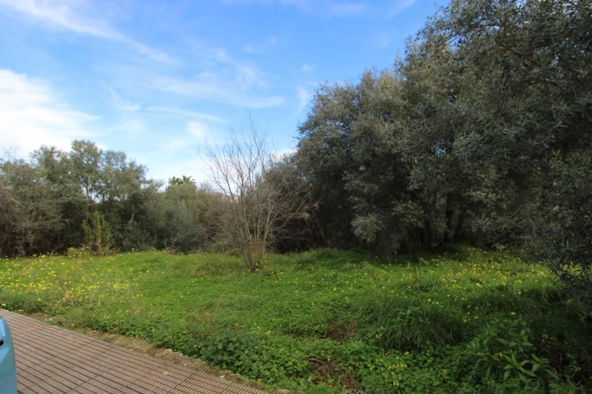 Terreno en venta en Orba, Alicante photo 4