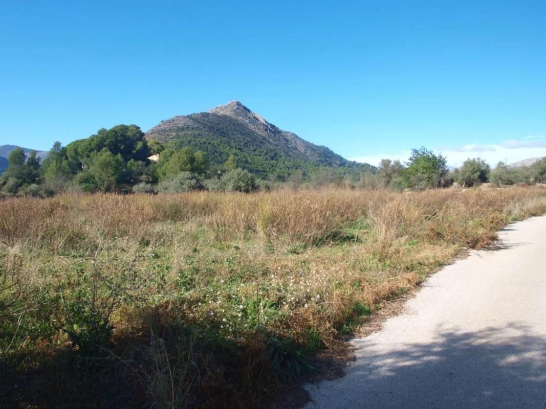 Terreno en venta en Murla, Alicante photo 5