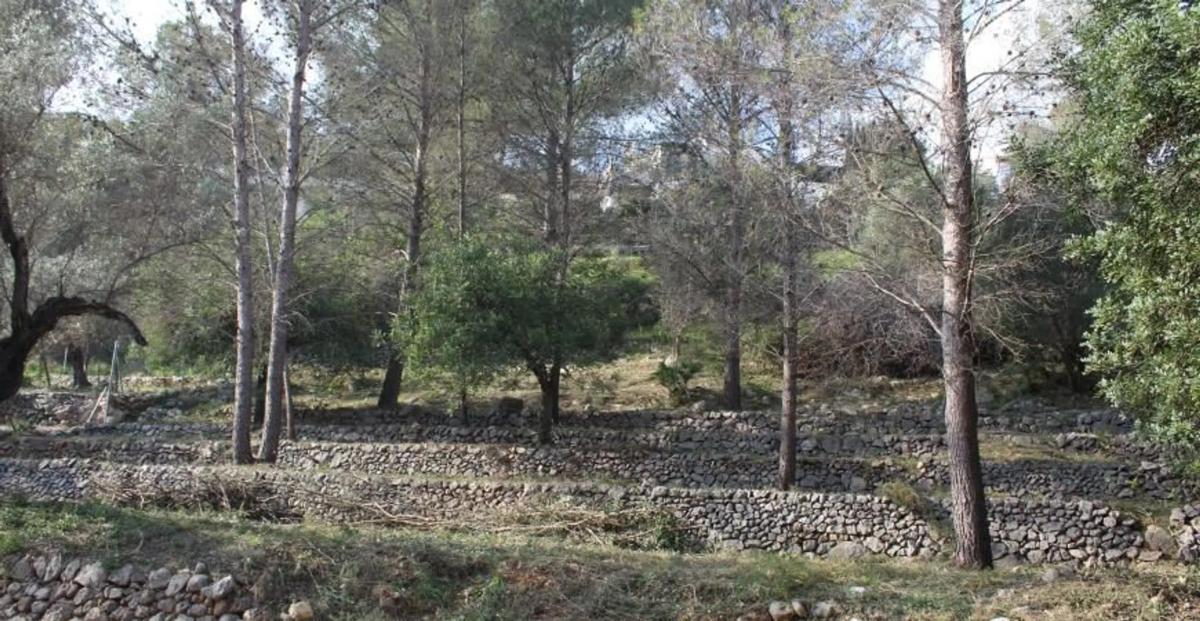 Terreno en venta en Orba, Alicante photo 3