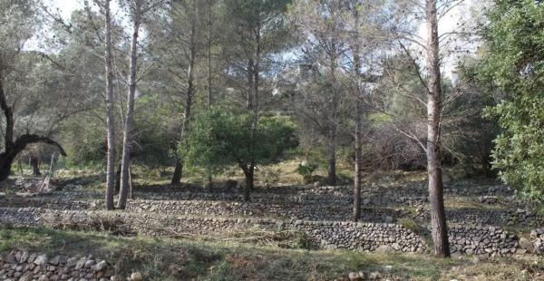 Terreno en calle el Xiprer, 3 thumbnail 2