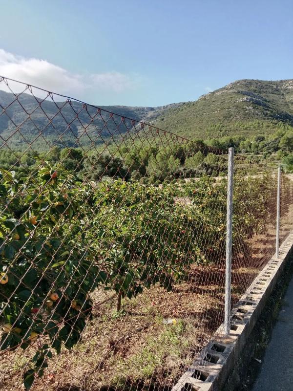 Działka na sprzedaż w Parcent, Alicante photo 2