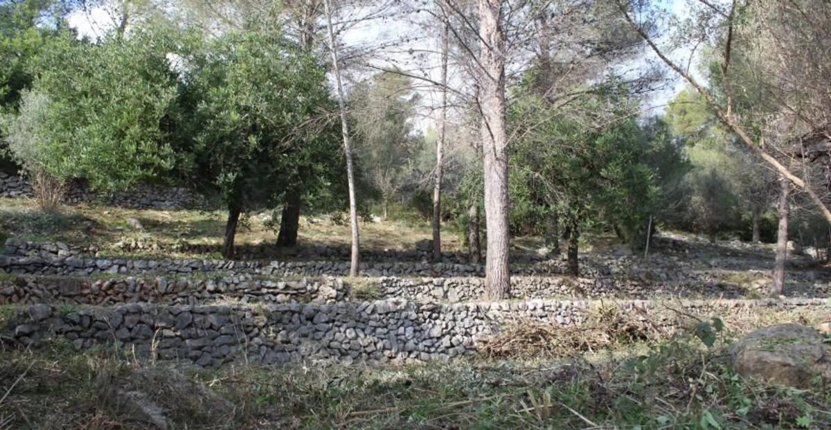 Terreno en venta en Orba, Alicante photo 5
