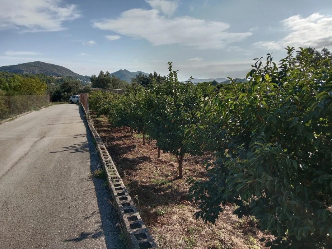 Działka na sprzedaż w Parcent, Alicante photo 5