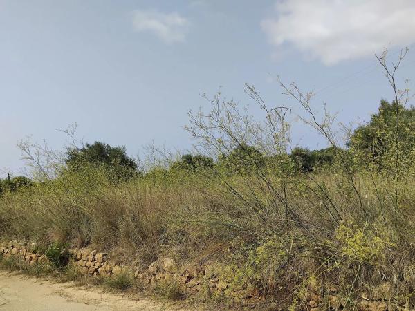 Terreno en avenida de la Marina Alta thumbnail 1