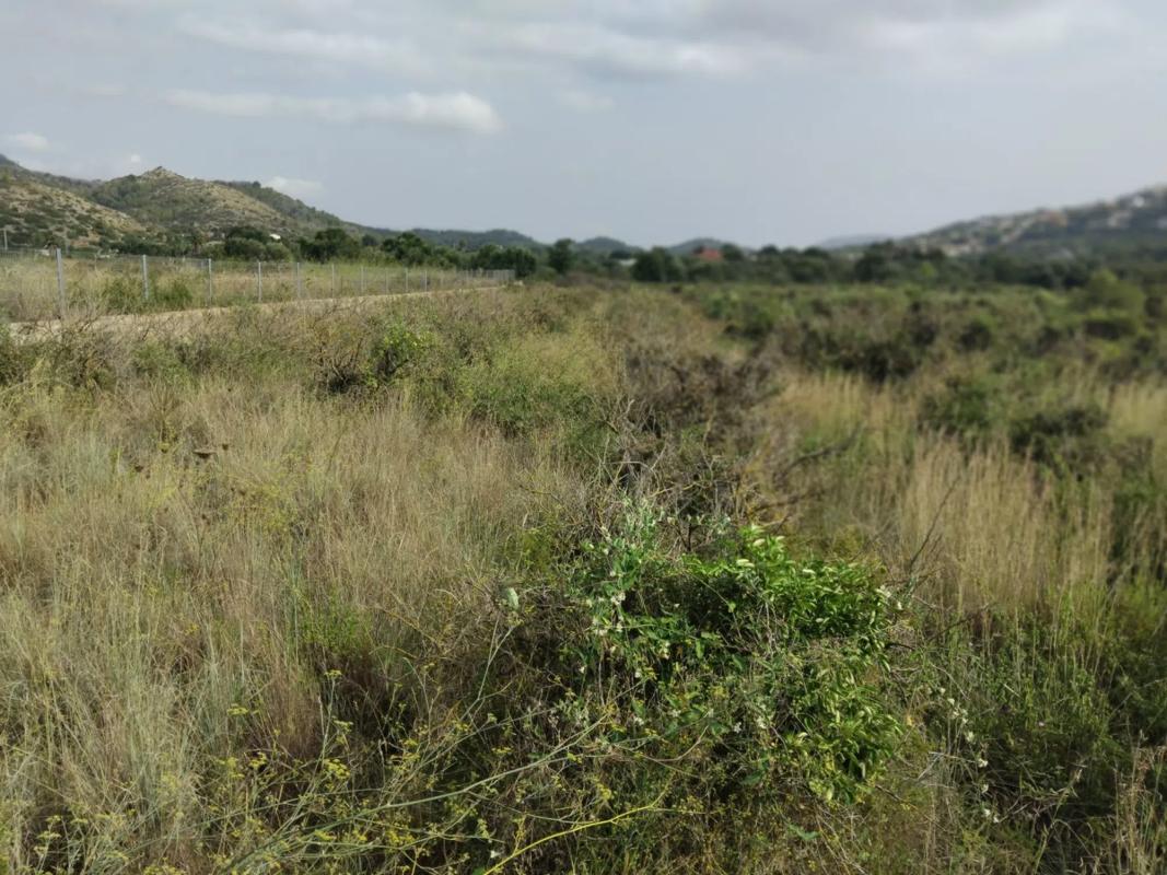 Land for sale in Pedreguer, Alicante photo 2