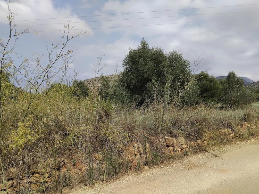 Land for sale in Pedreguer, Alicante photo 5