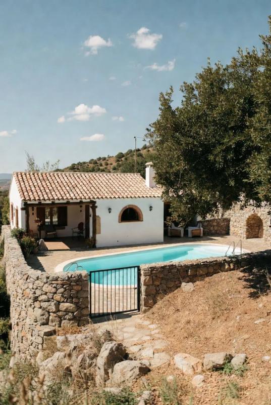 Land for sale in Pedreguer, Alicante photo 4