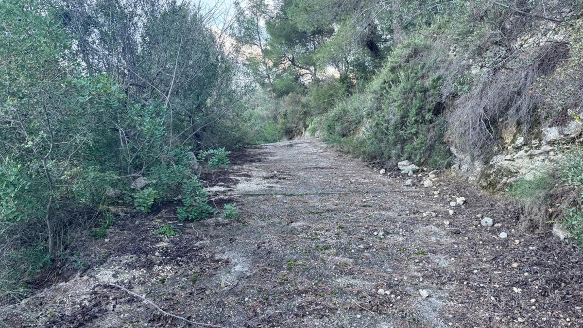 Terreno en venta en Pego, Alicante photo 4
