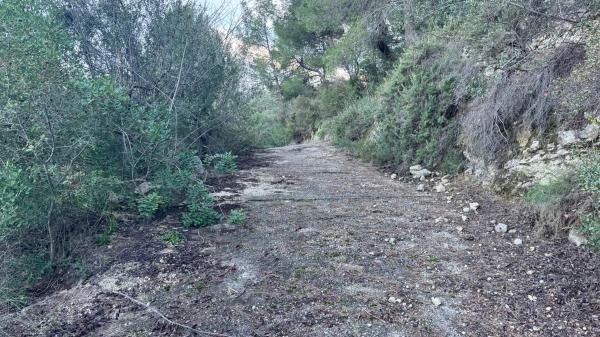Terreno en Pego photo 4