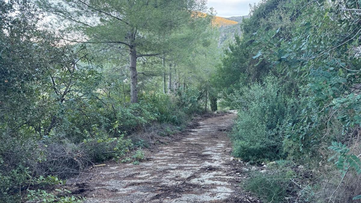 Terreno en venta en Pego, Alicante photo 5