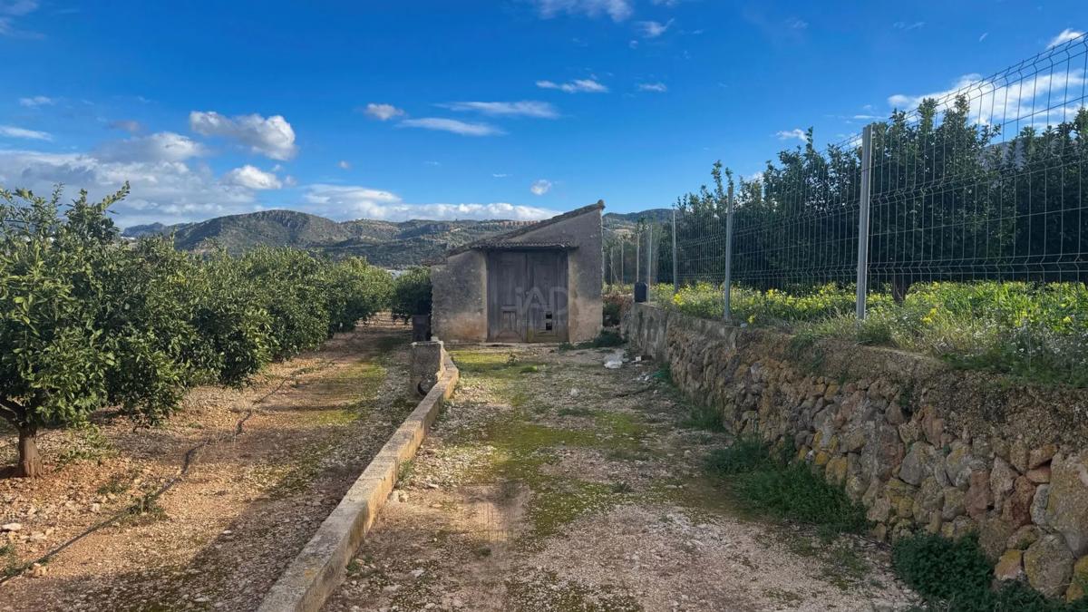Terreno en venta en Pego, Alicante photo 5