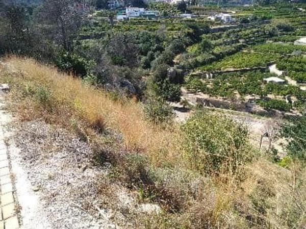 Terreno en calle Metge Carlos Guitart Pons photo 3