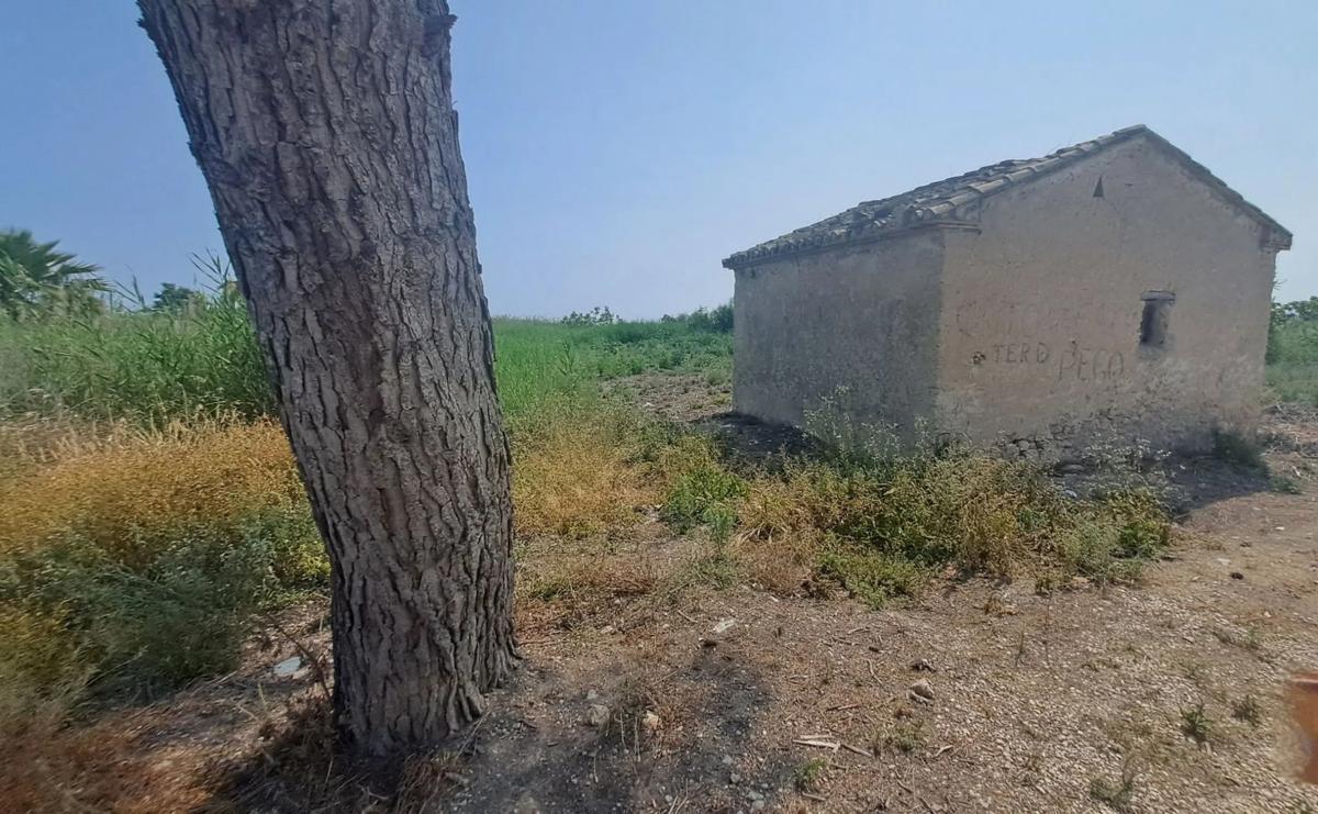 Land for sale in Pego, Alicante photo 3