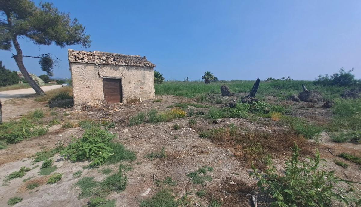 Land for sale in Pego, Alicante photo 5