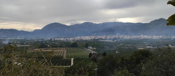 Terreno en Pego photo 1