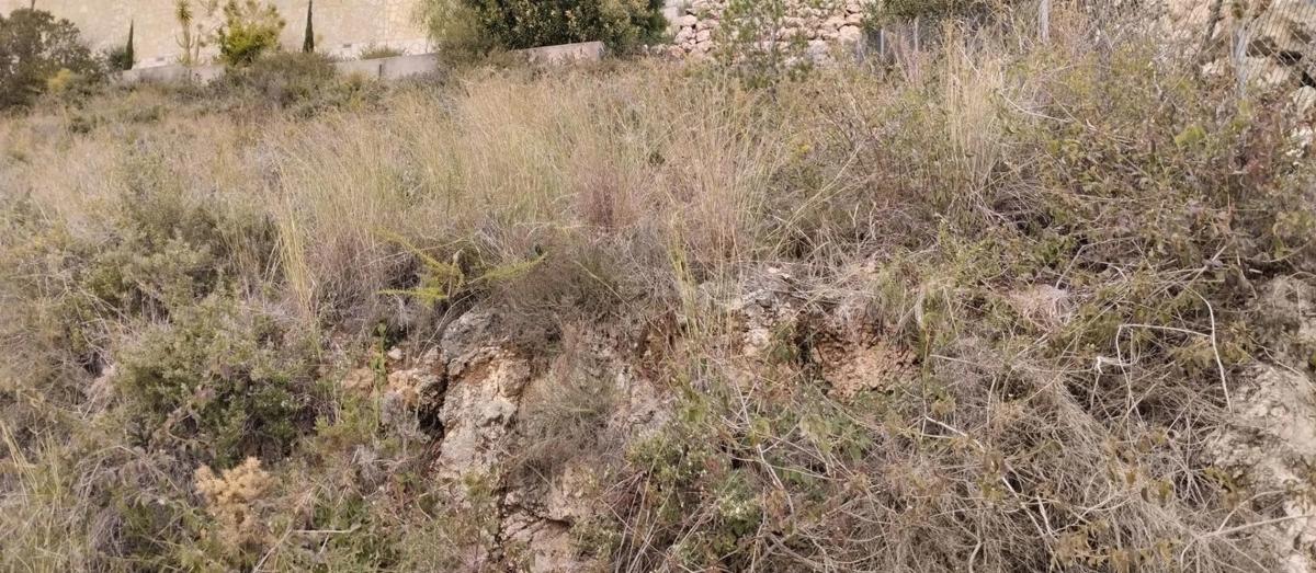 Terreno en venta en Pego, Alicante photo 2
