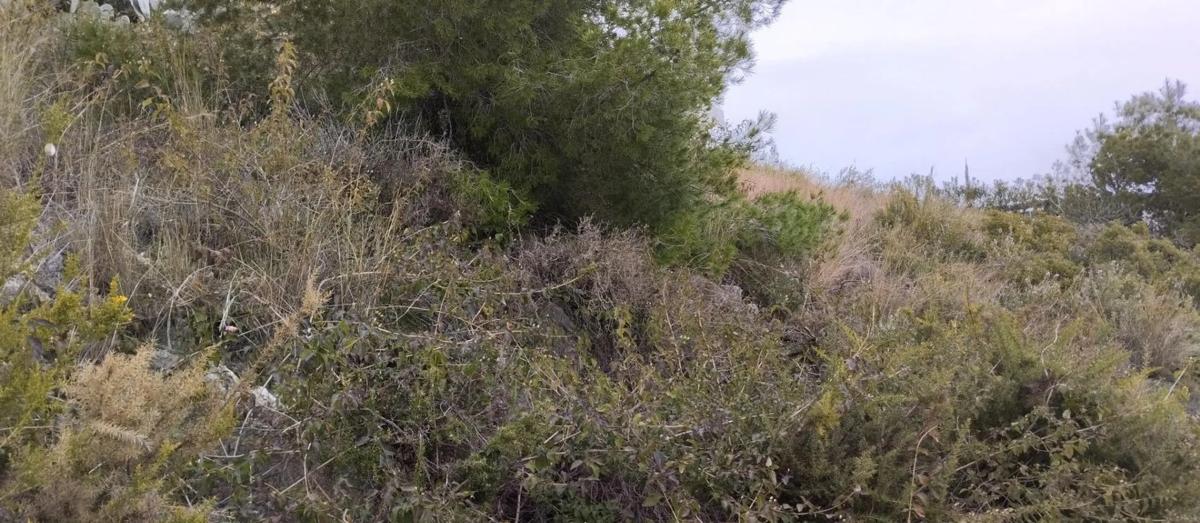 Terreno en venta en Pego, Alicante photo 3