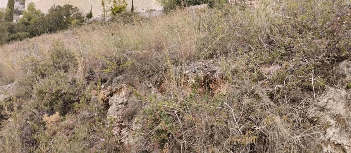 Terreno en venta en Pego, Alicante photo 5