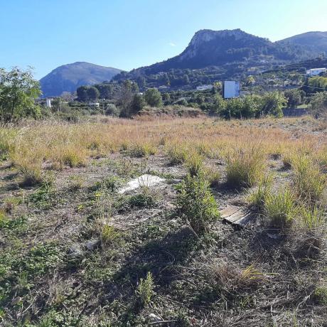 Terreno en Pego photo 1