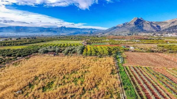 Terreno en camino dels Olivars, 4 photo 1