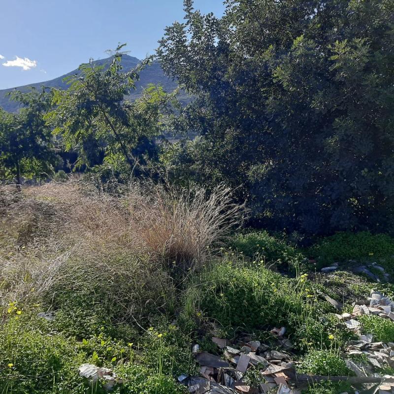 Terreno en venta en Pego, Alicante photo 2