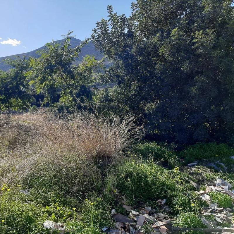 Terreno en venta en Pego, Alicante photo 5