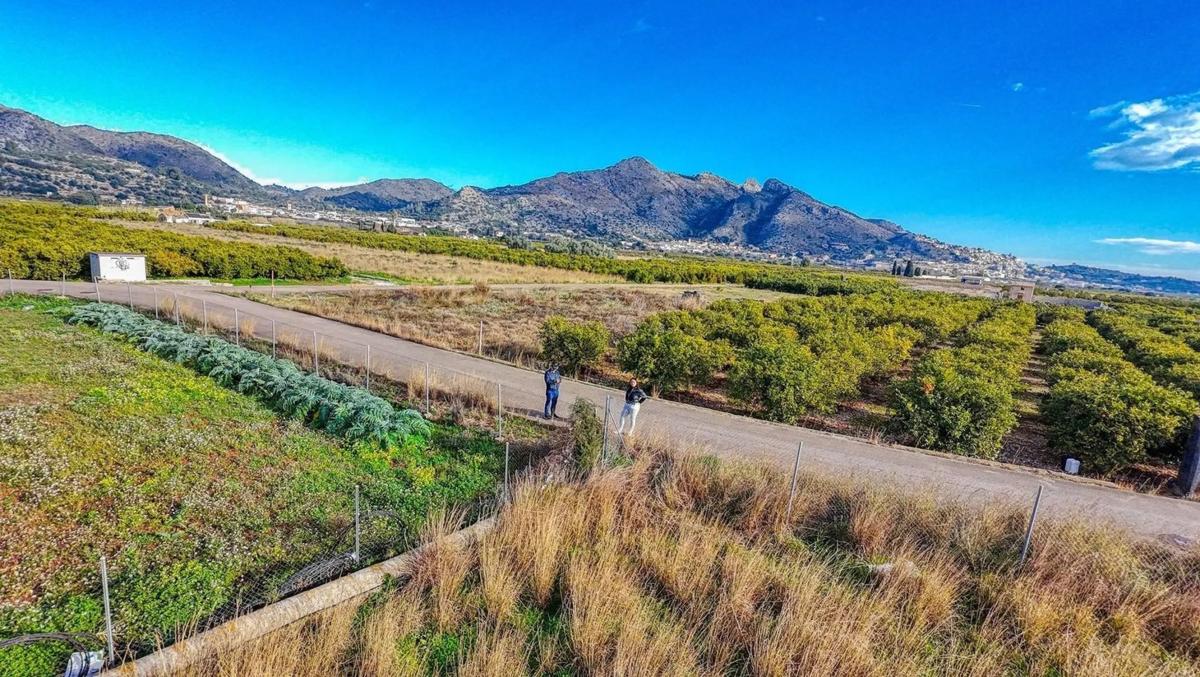 Land for sale in Sagra, Alicante photo 4